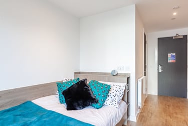 Bronze En Suite at Pavilion Point, 118-132 London Road, The Level, Brighton, BN14JH - Image 1